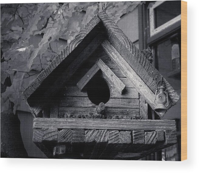 Bird House Wood Print featuring the photograph Bird House by Anamar Pictures