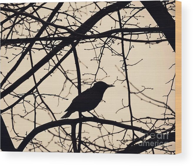 Bird Wood Print featuring the photograph Bird Silhouette by Sarah Loft