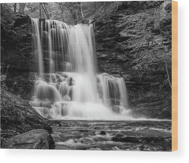 Nature Wood Print featuring the photograph Black and White Photo of Sheldon Reynolds Waterfalls by Louis Dallara