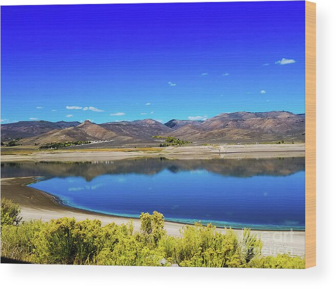 Colorado Wood Print featuring the photograph Blue Mesa Reservoir in Colorado by Elizabeth M