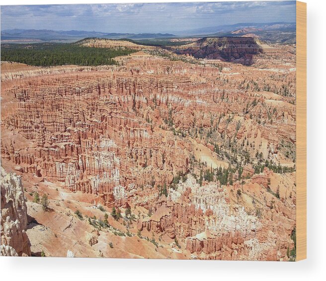 Bryce Canyon Wood Print featuring the photograph Bryce Canyon by Mark Duehmig