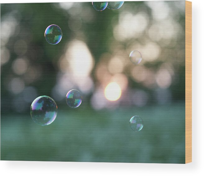Mid-air Wood Print featuring the photograph Bubbles In Countryside At Sunset by Dougal Waters