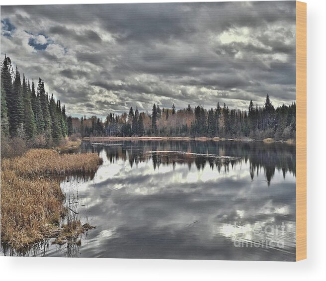 Storm Wood Print featuring the photograph Calm Before The Storm by Vivian Martin