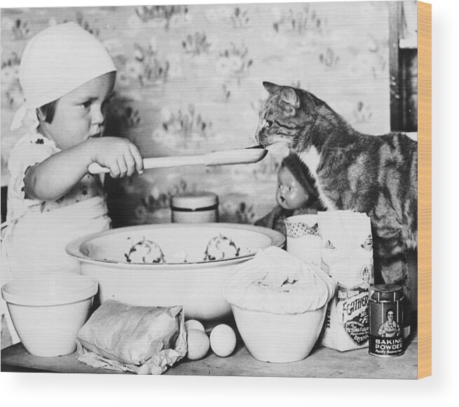 Cooking Utensil Wood Print featuring the photograph Cat Taster by Fox Photos