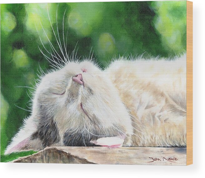Cat Wood Print featuring the painting Catnap by John Neeve