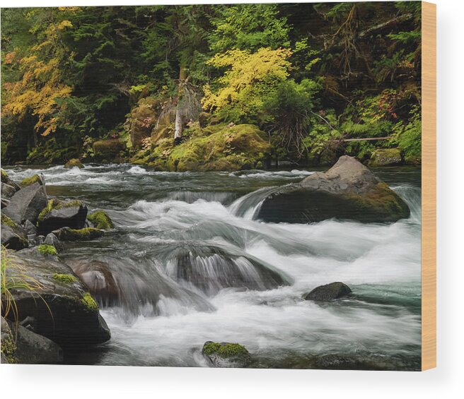 Clackamas River Wood Print featuring the photograph Clackamas Cascade by Steven Clark