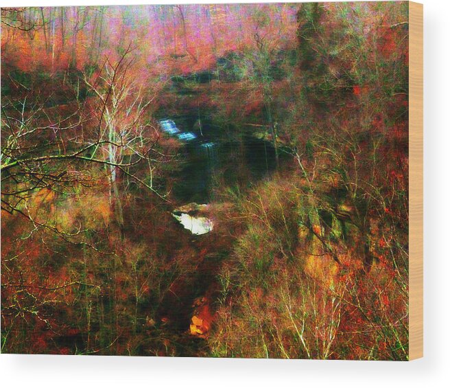 Abstract Wood Print featuring the photograph Clifty Falls Abstract Impressionism by Mike McBrayer