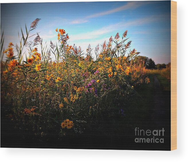 Nature Wood Print featuring the photograph Colorful Wild Flowers Under the Blue Sky by Frank J Casella
