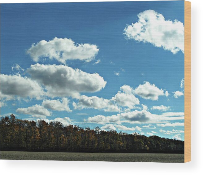 Country Autumn Curves Wood Print featuring the photograph Country Autumn Curves 12 by Cyryn Fyrcyd
