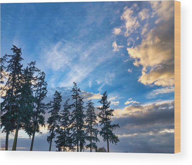 Sky Wood Print featuring the photograph Crisp Skies by Brian Eberly