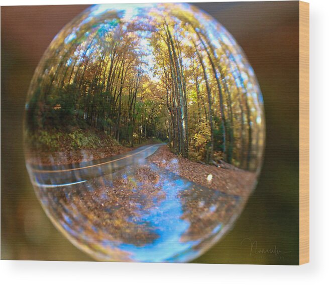 Nunweiler Wood Print featuring the photograph Crystal Ball Forest by Nunweiler Photography