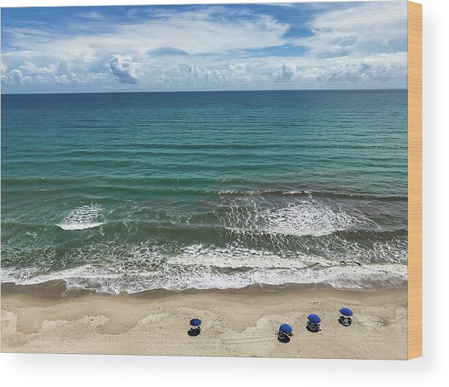 Florida Wood Print featuring the photograph Day at the Beach by Frank Mari