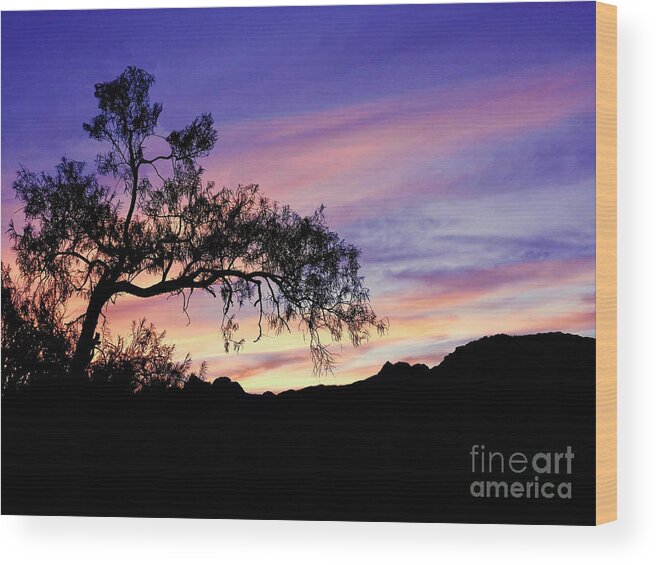Desert Wood Print featuring the photograph Desert Tree at Twilight by Beth Myer Photography