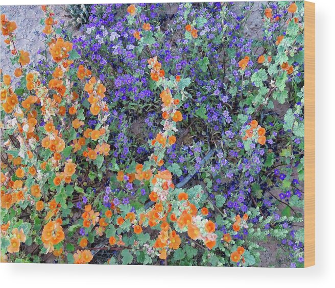 Arizona Wood Print featuring the photograph Desert Wildflowers 2 by Judy Kennedy