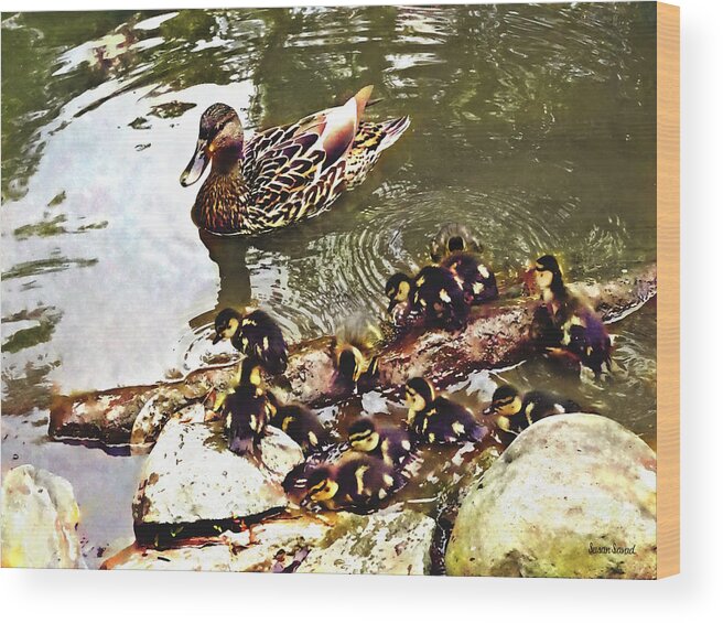 Duck Wood Print featuring the photograph Duck Family by Susan Savad