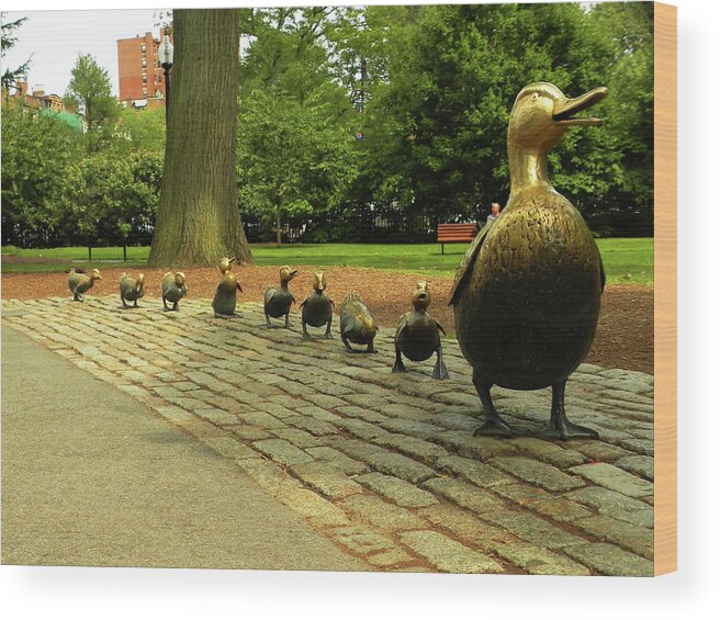 Make Way For The Ducklings Boston Public Garden Wood Print featuring the photograph Ducklings In Boston Public Garden by Kathleen Moroney
