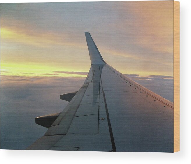 Dawn Wood Print featuring the photograph Early Morning Flight by Richard Newstead
