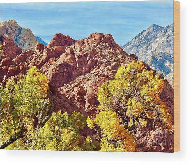 Foliage Wood Print featuring the photograph Fall Meets Desert by Beth Myer Photography