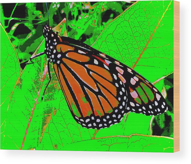 Green Wood Print featuring the photograph Fall Monarch Too by Debra Grace Addison
