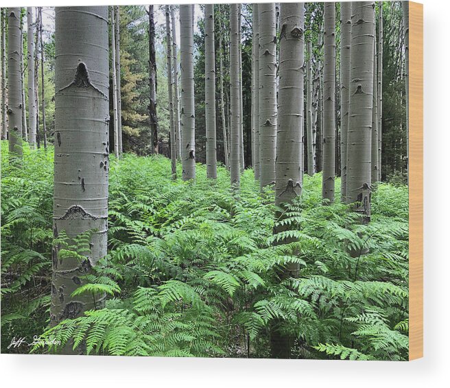 Arizona Wood Print featuring the photograph Ferns in an Aspen Grove by Jeff Goulden