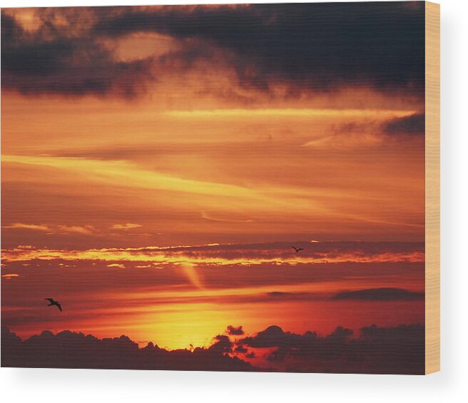 Cloudscape Wood Print featuring the photograph Fire In The Sky by Gill Billington