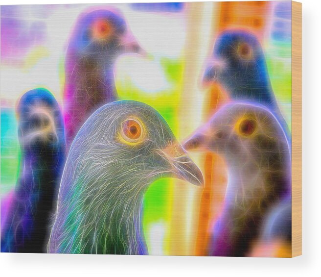Pigeon Wood Print featuring the photograph Five Homing Pigeons Fibers by Don Northup