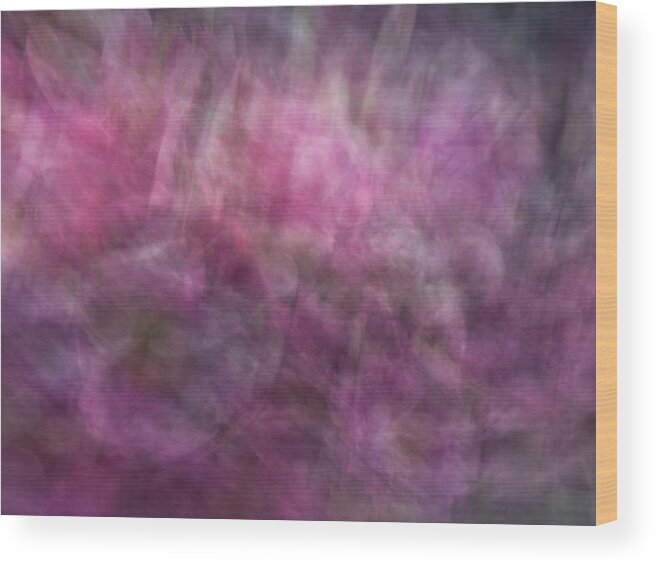 Abstract Wood Print featuring the photograph Floral like abstract background of pinks, purples and green patterned artwork by Teri Virbickis