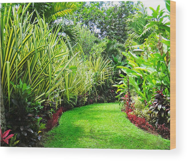 Tranquility Wood Print featuring the photograph Garden Path by Sandra Leidholdt