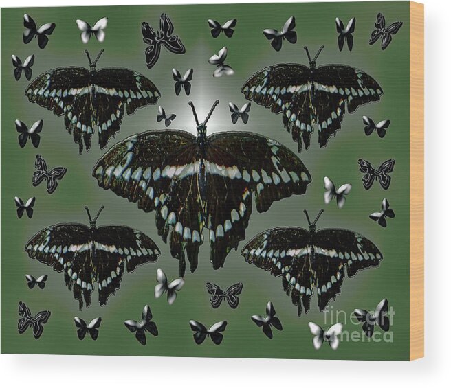 Giant Swallowtail Wood Print featuring the photograph Giant Swallowtail Butterflies by Rockin Docks Deluxephotos