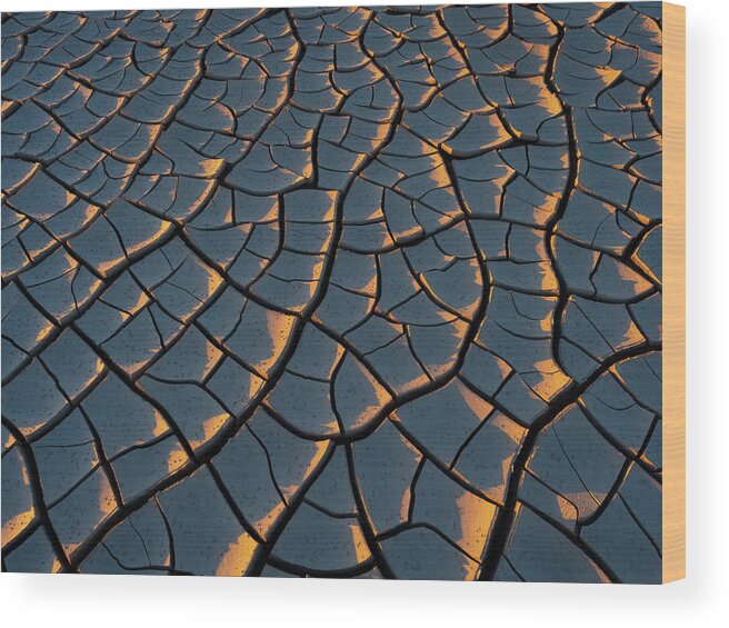 Cracked Mud Wood Print featuring the photograph Gilded by Emily Dickey