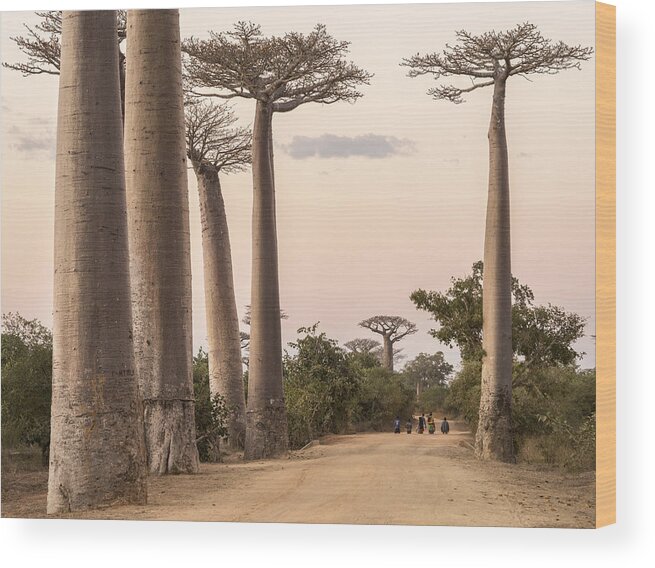 Madagascar Wood Print featuring the photograph Going Home by Karsten Wrobel