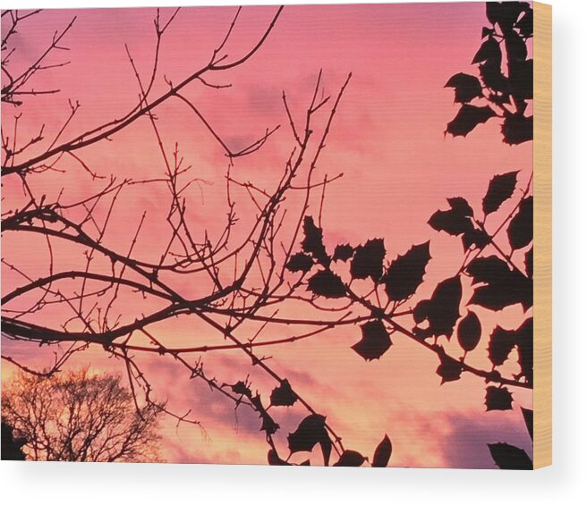 Winter Landscape Wood Print featuring the photograph Holly tree sunset 2 landscape by Itsonlythemoon