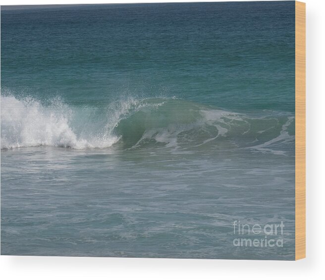 Waves Wood Print featuring the photograph Indian Ocean curl by Christy Garavetto
