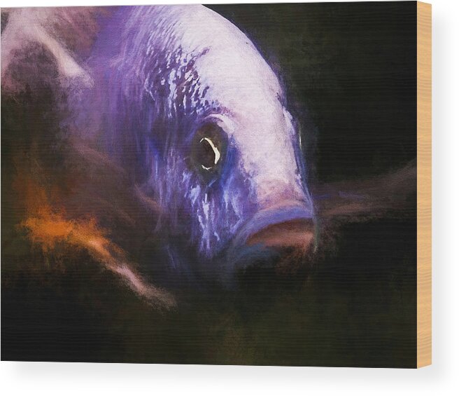 African Cichlid Wood Print featuring the digital art Intimidating Electric Blue Ahli by Don Northup