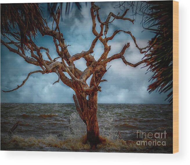 Seascapes Wood Print featuring the photograph Jekyll's Driftwood Beach at High Tide by DB Hayes