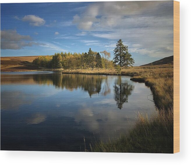 Evening Light Wood Print featuring the photograph Lakeland Peace by Mark Egerton