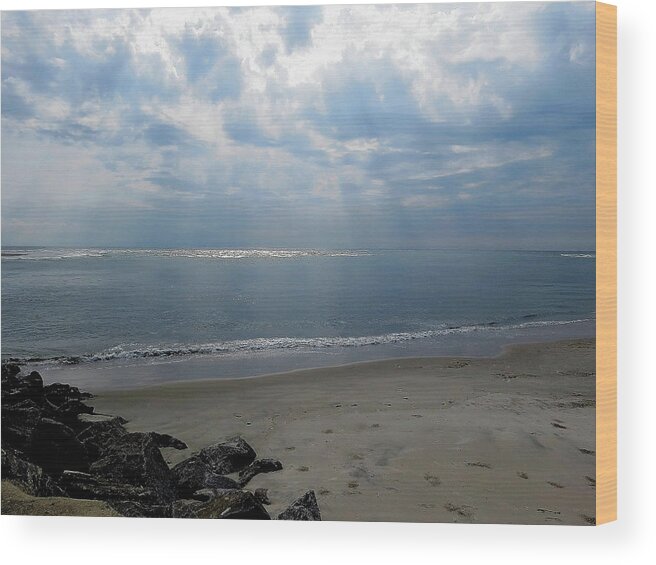 Beach Wood Print featuring the photograph Land Sea and Sky by Linda Stern