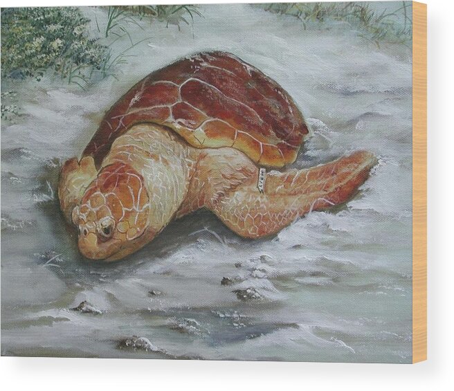 Turtle Wood Print featuring the painting Loggerhead Turtle - St. George Island by Teresa Trotter