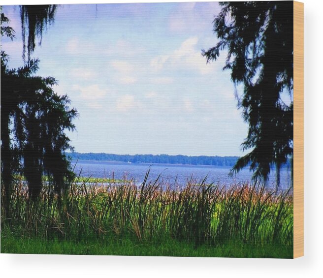  Wood Print featuring the photograph Lovely Lake by Lindsey Floyd