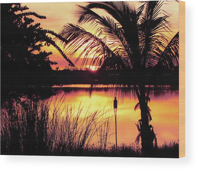 Landscape Wood Print featuring the photograph Manatee River Sunset by Susan Hope Finley