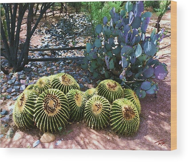 Miraval-arizona Wood Print featuring the photograph Miraval Cactus by Tom Johnson