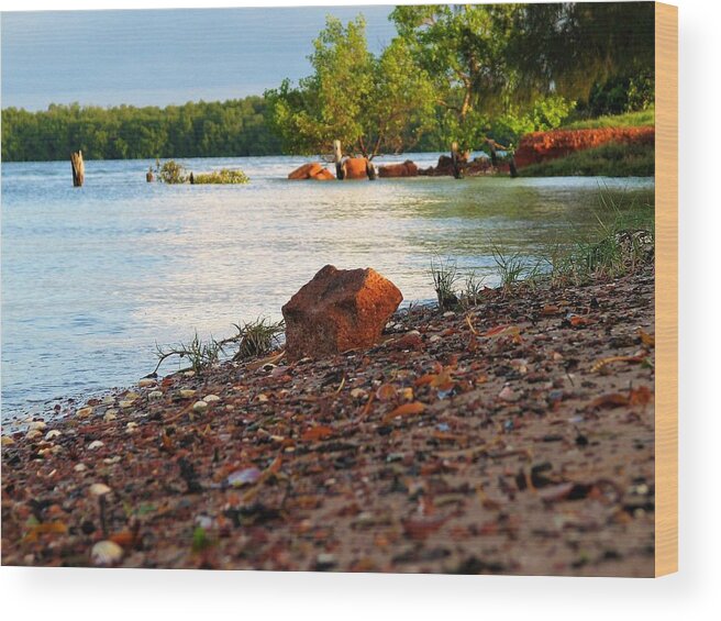 Water View Wood Print featuring the photograph Mission River Shore by Joan Stratton