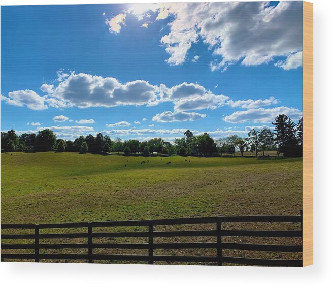 Pasture Wood Print featuring the photograph Monkton Pastures by Chris Montcalmo