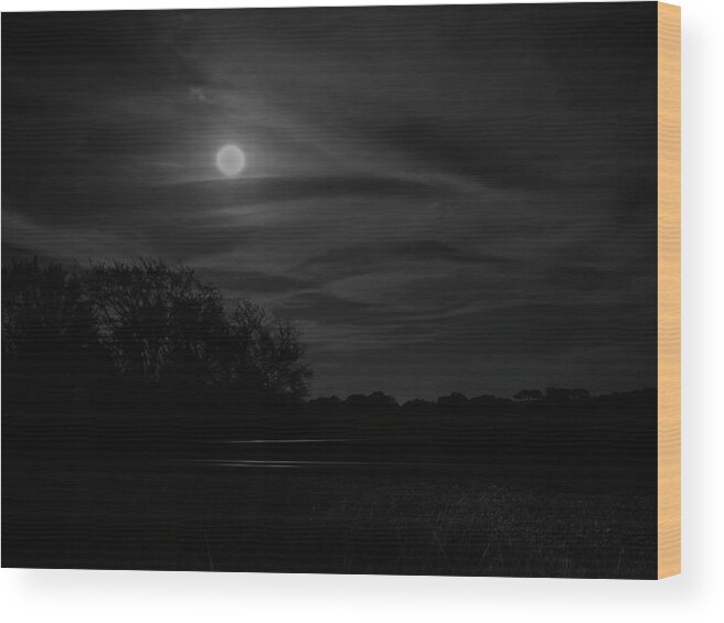 Moon Wood Print featuring the photograph Moonlit Tracks by Jerry Connally