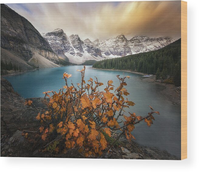 Mountain Wood Print featuring the photograph Moraine Lake In Autumn by Joan Zhang