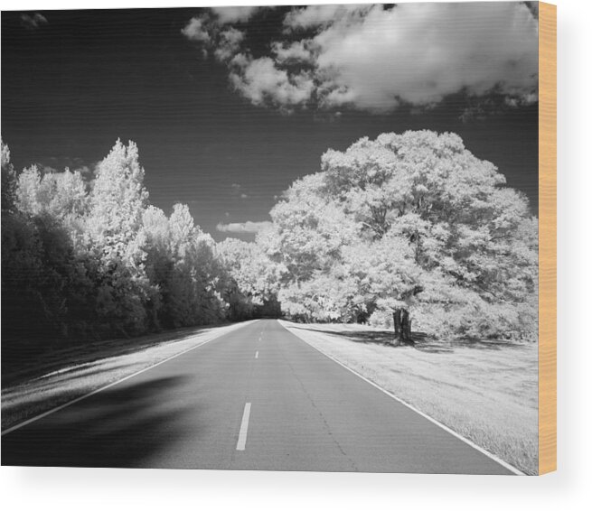 Scenery Wood Print featuring the painting Natchez Trace Parkway, Mississippi by 