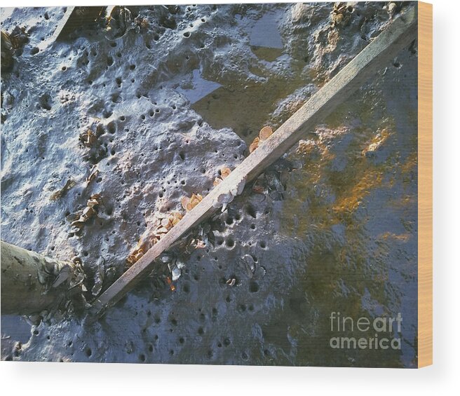 Dock Wood Print featuring the photograph Not The Moon by Robert Knight
