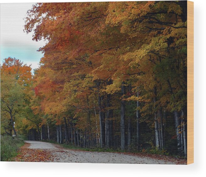 Trees Wood Print featuring the photograph On the Edge of Color by David T Wilkinson