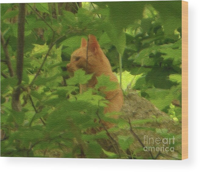 Orange Forest Wood Print featuring the photograph Orange Forest Cat by Rockin Docks