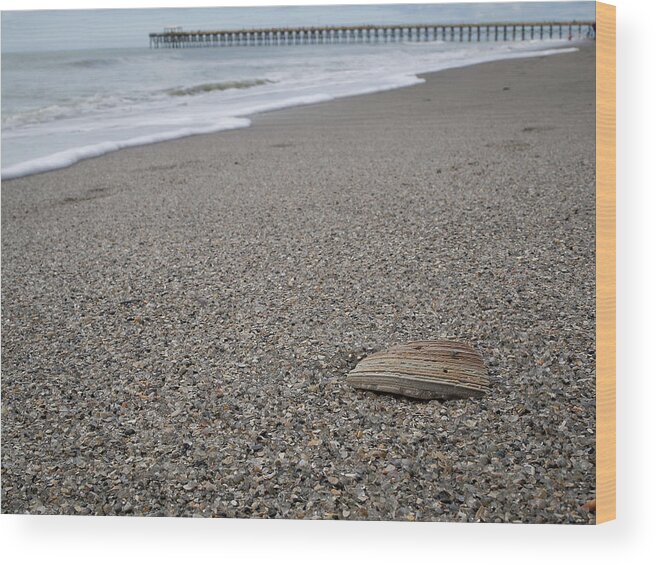 Pier Wood Print featuring the photograph Pier Seashell by David Palmer